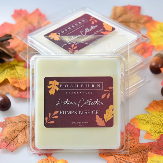 Pumpkin Spice Soy Wax Melts