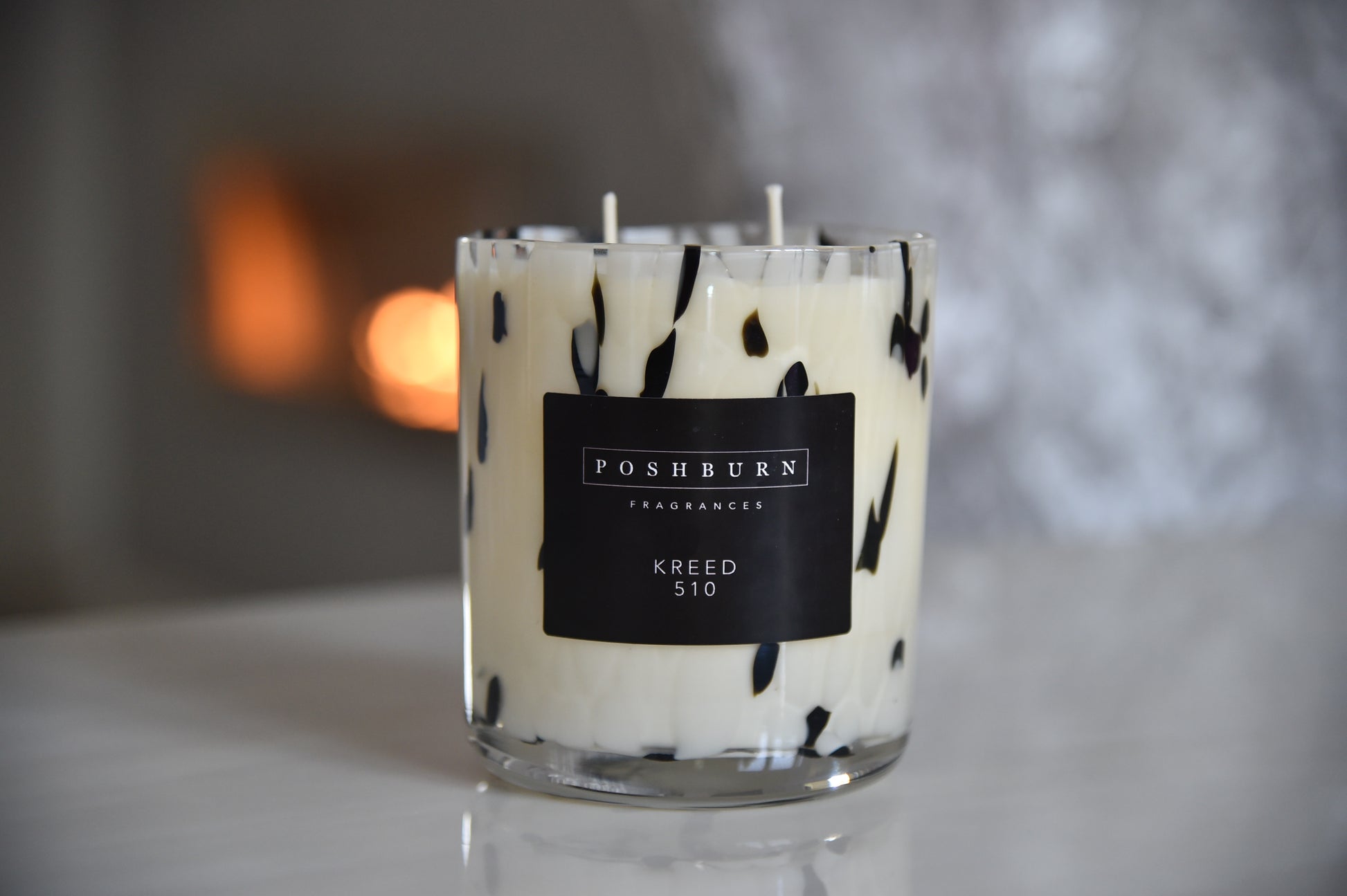 The Dalmatian (Large Two Wick Soy Candle)